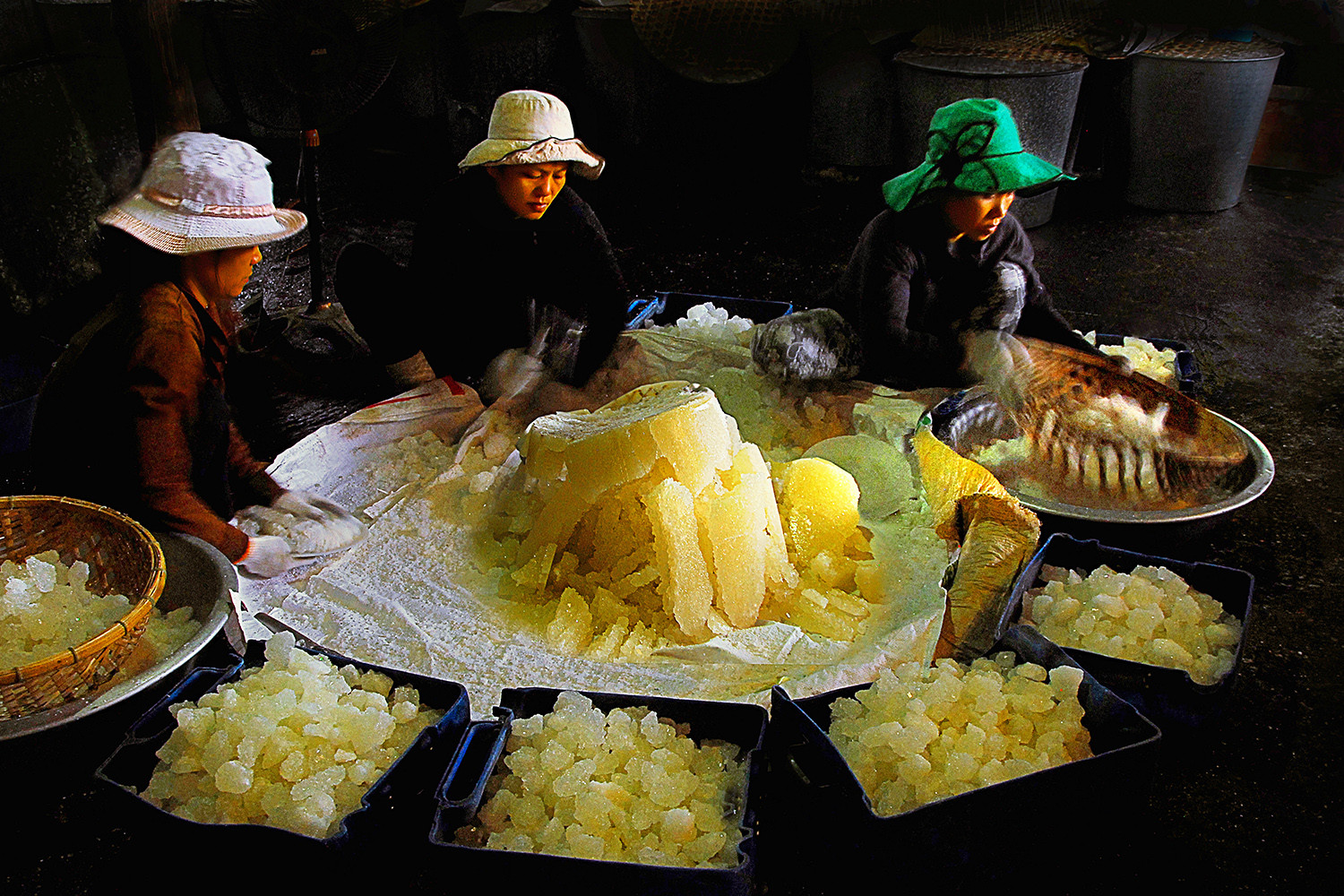 Quảng Ngãi nơi ta tìm về - Tác Phẩm Vị ngọt quê hương - Bùi Hải Dũng