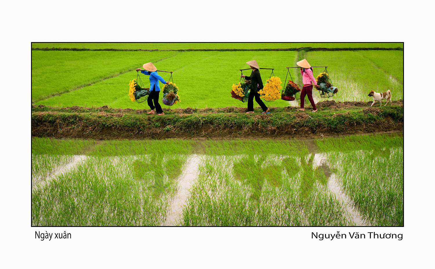 Quảng Ngãi nơi ta tìm về - Tác Phẩm Ngày Xuân - Nguyễn Văn Thưởng