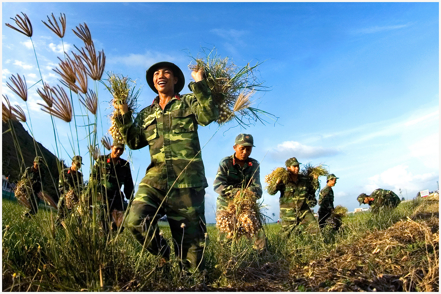 Quảng Ngãi nơi ta tìm về - Tác Phẩm Người lính trên đảo tỏi - Phạm Long Thanh